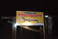Warga Satui cemas buaya masuk permukiman. Relawan bertindak cepat, pasang imbauan, desak pemerintah segera turun tangan.Warga Satui cemas buaya masuk permukiman. Relawan bertindak cepat, pasang imbauan, desak pemerintah segera turun tangan. (Foto Mulyadi/BK)