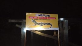 Warga Satui cemas buaya masuk permukiman. Relawan bertindak cepat, pasang imbauan, desak pemerintah segera turun tangan.Warga Satui cemas buaya masuk permukiman. Relawan bertindak cepat, pasang imbauan, desak pemerintah segera turun tangan. (Foto Mulyadi/BK)