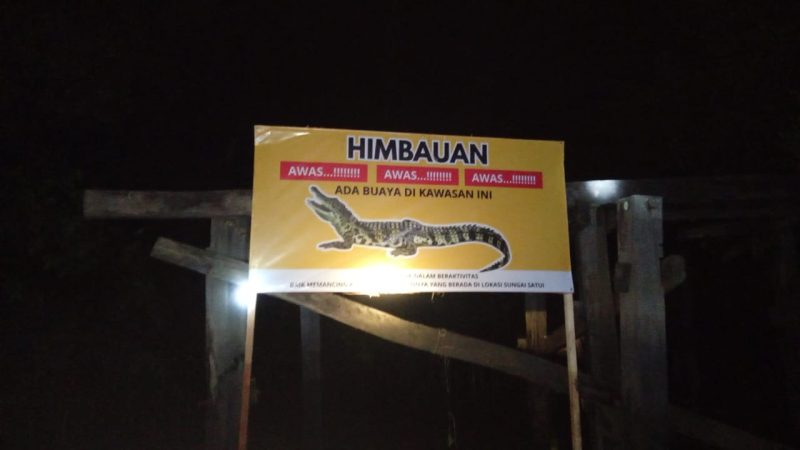Warga Satui cemas buaya masuk permukiman. Relawan bertindak cepat, pasang imbauan, desak pemerintah segera turun tangan.Warga Satui cemas buaya masuk permukiman. Relawan bertindak cepat, pasang imbauan, desak pemerintah segera turun tangan. (Foto Mulyadi/BK)