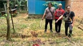 Cekcok soal kelapa berujung tragis, warga Satui dibacok tetangganya hingga tewas. Polisi tangkap pelaku dan amankan barang bukti. / Bacakabar.id