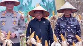 Wakil Ketua DPRD Tanbu H. Hasanuddin hadiri Panen Raya Jagung 2025, dorong ekspor, kemandirian pangan, dan potensi pertanian daerah.
