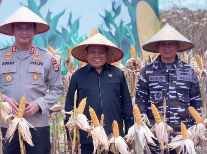 Wakil Ketua DPRD Tanbu H. Hasanuddin hadiri Panen Raya Jagung 2025, dorong ekspor, kemandirian pangan, dan potensi pertanian daerah.