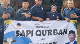 DPD NasDem Tanah Bumbu terima lima sapi kurban dari DPW NasDem Kalsel untuk disalurkan ke masyarakat jelang Iduladha.