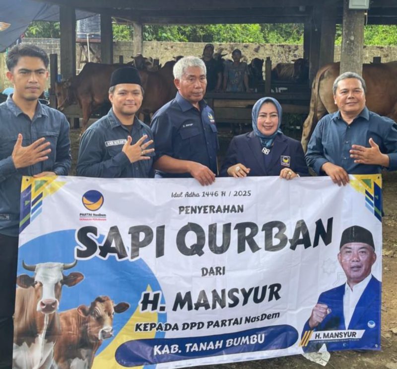 DPD NasDem Tanah Bumbu terima lima sapi kurban dari DPW NasDem Kalsel untuk disalurkan ke masyarakat jelang Iduladha.