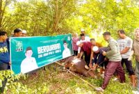 Wakil Ketua DPRD Tanbu H. Hasanuddin pimpin penyembelihan kurban, tegaskan politik kehadiran PKB dan distribusi daging merata hingga pelosok daerah.