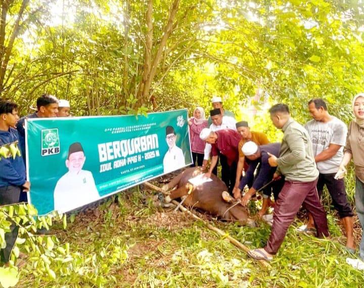 Wakil Ketua DPRD Tanbu H. Hasanuddin pimpin penyembelihan kurban, tegaskan politik kehadiran PKB dan distribusi daging merata hingga pelosok daerah.
