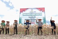 Bupati Andi Rudi Latif pimpin panen raya jagung serentak nasional di Tanah Bumbu, dorong ketahanan pangan dan swasembada jagung. / Mc Tanbu