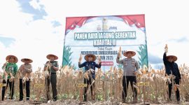 Bupati Andi Rudi Latif pimpin panen raya jagung serentak nasional di Tanah Bumbu, dorong ketahanan pangan dan swasembada jagung. / Mc Tanbu