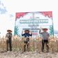 Bupati Andi Rudi Latif pimpin panen raya jagung serentak nasional di Tanah Bumbu, dorong ketahanan pangan dan swasembada jagung. / Mc Tanbu