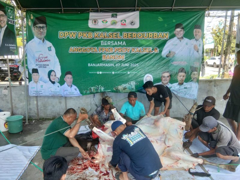 Ketua DKW Garda Bangsa Kalsel dan DPW PKB berkurban dua sapi, bagikan daging ke ratusan warga kurang mampu.