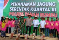 Polres dan Pemkab Tanah Bumbu tanam jagung serentak di Desa Sarigadung, Rabu 9 Juli 2025, dukung swasembada pangan nasional bersama Kapolri.