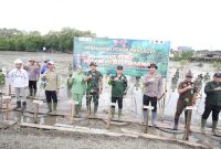 Ketua DPRD Tanah Bumbu ikut menanam 500 mangrove di Pelabuhan Batang, Simpang Empat, Tanah Bumbu, Rabu 2 Juli 2025.