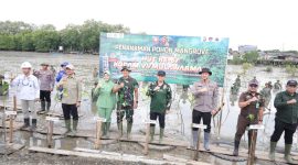 Ketua DPRD Tanah Bumbu ikut menanam 500 mangrove di Pelabuhan Batang, Simpang Empat, Tanah Bumbu, Rabu 2 Juli 2025.