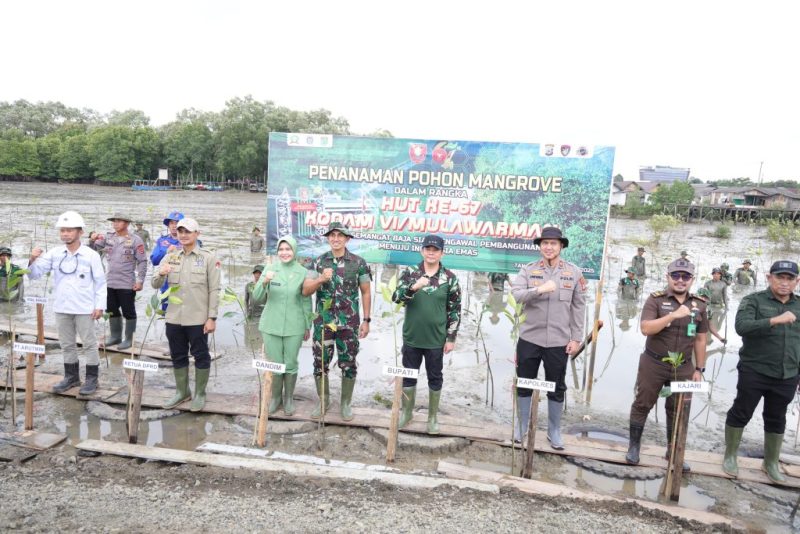 Ketua DPRD Tanah Bumbu ikut menanam 500 mangrove di Pelabuhan Batang, Simpang Empat, Tanah Bumbu, Rabu 2 Juli 2025.