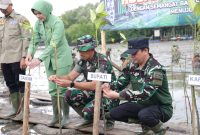 Penanaman 500 mangrove oleh Bupati Andi Rudi Latif dan TNI di Pelabuhan Batang, Tanah Bumbu, Rabu 2 Juli 2025