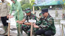 Penanaman 500 mangrove oleh Bupati Andi Rudi Latif dan TNI di Pelabuhan Batang, Tanah Bumbu, Rabu 2 Juli 2025