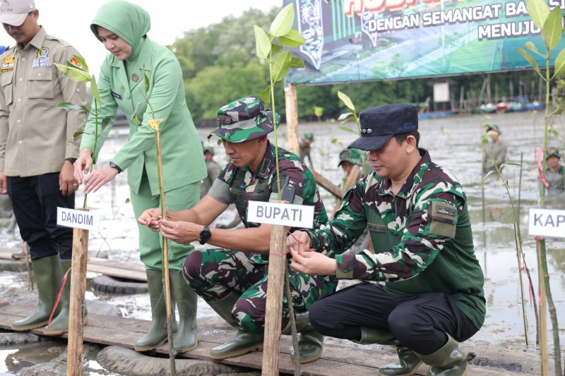 Penanaman 500 mangrove oleh Bupati Andi Rudi Latif dan TNI di Pelabuhan Batang, Tanah Bumbu, Rabu 2 Juli 2025