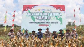 Wakapolres Tanah Bumbu Kompol Apriyansa Sinatra bersama jajaran kepolisian dan perwakilan instansi terkait saat menghadiri Panen Raya Jagung Serentak Kuartal III di Kelurahan Gunung Tinggi, Kecamatan Batulicin, Sabtu (27/9/2025).