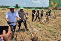 Wakil Bupati Tanah Laut H.M. Zazuli bersama jajaran Forkopimda meninjau dan ikut serta dalam penanaman jagung serentak di Desa Kayu Abang, Rabu (8/10/2025).