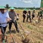 Wakil Bupati Tanah Laut H.M. Zazuli bersama jajaran Forkopimda meninjau dan ikut serta dalam penanaman jagung serentak di Desa Kayu Abang, Rabu (8/10/2025).