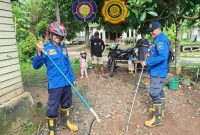 Personel Damkar Tanah Laut Sektor Takisung saat mengamankan seekor ular kobra hitam yang masuk ke rumah warga di Desa Batilai, Senin (11/05/2026). (Foto : Humas satpol pp dan damkar tala)