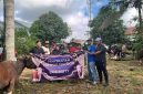 Hj. Ernawati bersama warga dan panitia saat pelaksanaan penyerahan hewan kurban Idul Adha 1447 Hijriah di Kecamatan Satui, Kabupaten Tanah Bumbu, Kamis (28/05/2026).