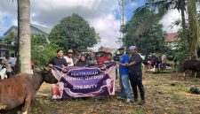 Hj. Ernawati bersama warga dan panitia saat pelaksanaan penyerahan hewan kurban Idul Adha 1447 Hijriah di Kecamatan Satui, Kabupaten Tanah Bumbu, Kamis (28/05/2026).