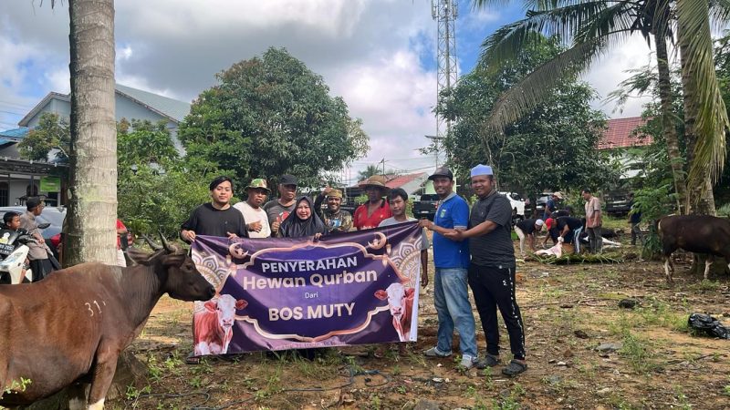 Hj. Ernawati bersama warga dan panitia saat pelaksanaan penyerahan hewan kurban Idul Adha 1447 Hijriah di Kecamatan Satui, Kabupaten Tanah Bumbu, Kamis (28/05/2026).