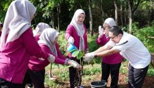 Dinas Perumahan Rakyat, Kawasan Permukiman dan Pengelolaan Lingkungan Hidup (DPRKPLH) Kabupaten Tanah Laut bersama Gabungan Organisasi Wanita (GOW) Kabupaten Tanah Laut menggelar kegiatan penanaman pohon, Jumat (12/06/2026).