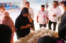 Kegiatan Pasar Murah yang digelar Balai Pembibitan Ternak Unggul dan Hijauan Pakan Ternak (BPTU-HPT) Pelaihari