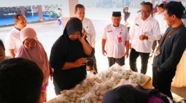 Kegiatan Pasar Murah yang digelar Balai Pembibitan Ternak Unggul dan Hijauan Pakan Ternak (BPTU-HPT) Pelaihari