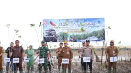 Asisten Bidang Perekonomian dan Pembangunan Tanah Bumbu Eryanto Rais bersama unsur Forkopimda menanam mangrove dalam kegiatan penanaman 1.000 mangrove di Desa Muara Pagatan, Selasa (8/9/2026).