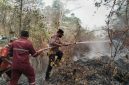 Direktur Eksekutif LEKEM Kalimantan, Aspihani Ideris Assegaf, meminta BPK mengaudit penggunaan dana bantuan penanganan karhutla senilai Rp1,23 triliun.