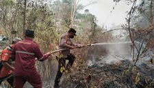 Direktur Eksekutif LEKEM Kalimantan, Aspihani Ideris Assegaf, meminta BPK mengaudit penggunaan dana bantuan penanganan karhutla senilai Rp1,23 triliun.