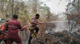Direktur Eksekutif LEKEM Kalimantan, Aspihani Ideris Assegaf, meminta BPK mengaudit penggunaan dana bantuan penanganan karhutla senilai Rp1,23 triliun.