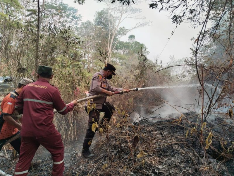 Direktur Eksekutif LEKEM Kalimantan, Aspihani Ideris Assegaf, meminta BPK mengaudit penggunaan dana bantuan penanganan karhutla senilai Rp1,23 triliun.