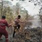 Direktur Eksekutif LEKEM Kalimantan, Aspihani Ideris Assegaf, meminta BPK mengaudit penggunaan dana bantuan penanganan karhutla senilai Rp1,23 triliun.